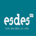 Masters Excellence international awards at ESDES School of Business and Management, France